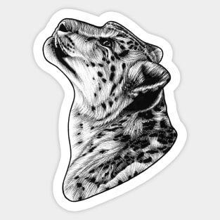 Snow leopards Sticker